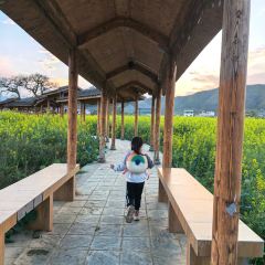 粤秀古树庄园 User Photo