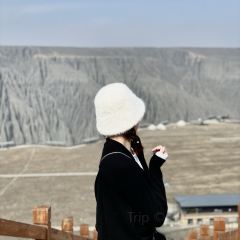 临崖咖啡厅 User Photo