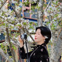 远餐厅 User Photo