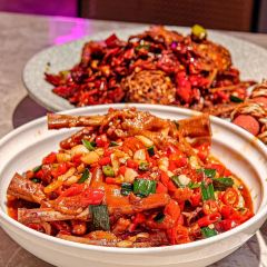 清晨落夜小酒馆 User Photo