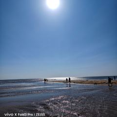 MORE SEA User Photo