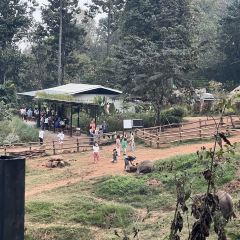 Elefin Farm & Cafe เอเลฟิน ฟาร์ม แอนด์ คาเฟ่ User Photo