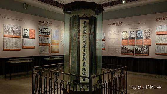 xian nong tan