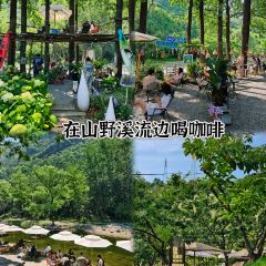 仙乡溪流咖啡 User Photo