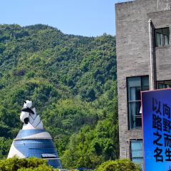 猫屎咖啡(天全服务区店) User Photo