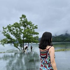 思无邪·逍遥游·餐厅 User Photo