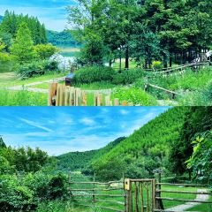 小杭坑2号营地 User Photo