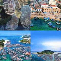 SU SHI TIAN FU User Photo