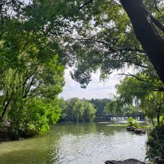 清溪莊張用戶圖片