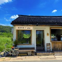枇杷熟了coffee張用戶圖片