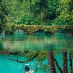 王幺嬢老字号洋芋粑張用戶圖片