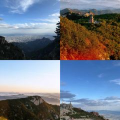 老城根土菜館張用戶圖片