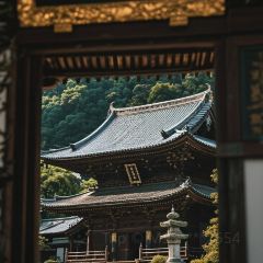 大刀面(升龙广场店) User Photo