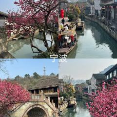 GU HAI GAO TUAN DIAN User Photo