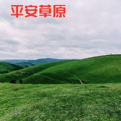 胖子鱼·鲜鱼火锅(全国总店) User Photo