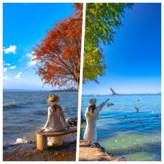 AI SHANG JUN User Photo