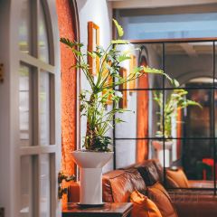 Yunhe Noodle (Huangpu) User Photo