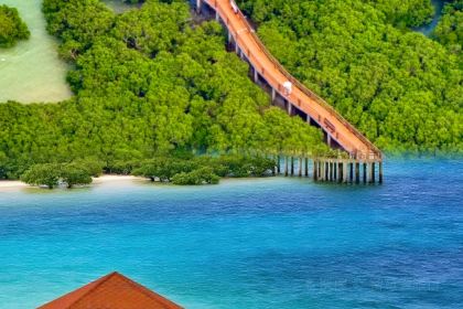 XI YING MEN BAO JIAN TIAN PIN DIAN