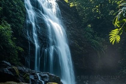 徐福记湛江烤生蚝