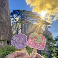 秀嫂挞粿 User Photo