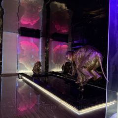 The Grand House Bar User Photo