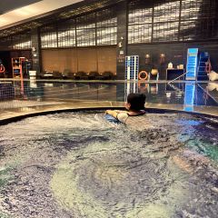 惠州中海湯泉飯店·滿庭芳餐廳張用戶圖片