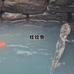 RONG CUISINE User Photo