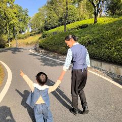 Ningdao Chinese Restaurant User Photo