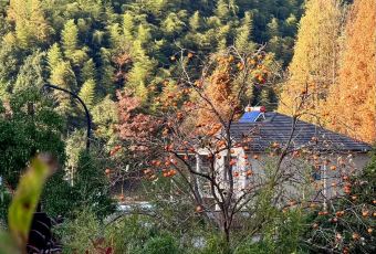 安吉竹仙湖君澜庄园·桃源轩 User Photo