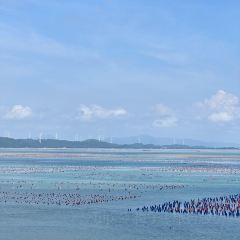 NANAODAO PUNCH IN JUICE ICE COMPANY User Photo
