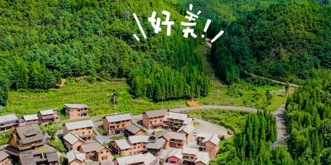 貴州酒店集團六盤水·貴州飯店·中餐廳