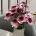 有无缘兮