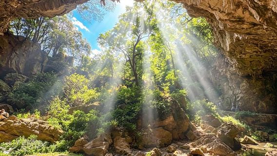 san jiao dong yuan qu