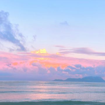 大鍋強·蒸海鮮青島菜（上流滙店）用戶圖片