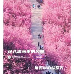 四海烤鸭城 User Photo