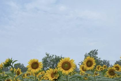 人民公社(神农北路店)