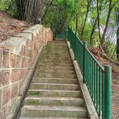 兰溪金熙温泉酒店·墅滋法餐厅 User Photo