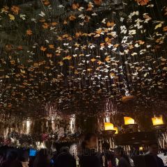 The Iron Fairies Hong Kong User Photo