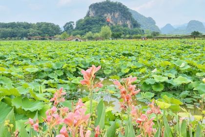 醉具人气餐厅(峰林晓镇店)