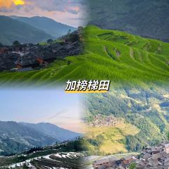 中國癟王張用戶圖片