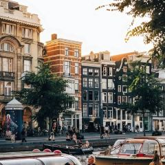 IJssalon Tofani User Photo