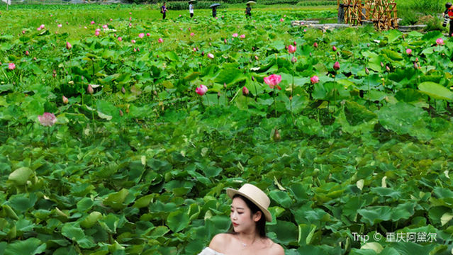 Tuhe Hetang Miao Village Scenic Area