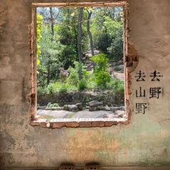 清雅茶苑(山湾里店) User Photo