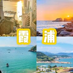 肥婆肥仔海鲜档(霞浦店) User Photo