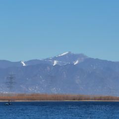观湖台 User Photo