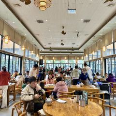 龙华茶园 User Photo