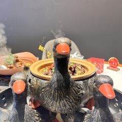 鴨道一切張用戶圖片