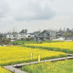 溪地阿兰若度假村落(大邑安仁古镇店)·水榭西餐厅 User Photo