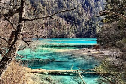 Bianbianjiecangyage Restaurant