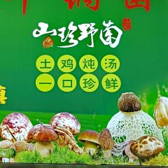 牛锅菌·蒸汽石锅野生菌(景明北路店) User Photo